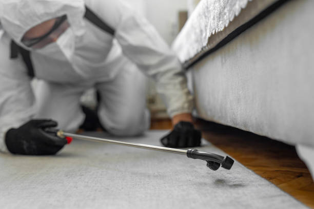 Professional Bed Bug Control technician working in Rock Creek, AL
