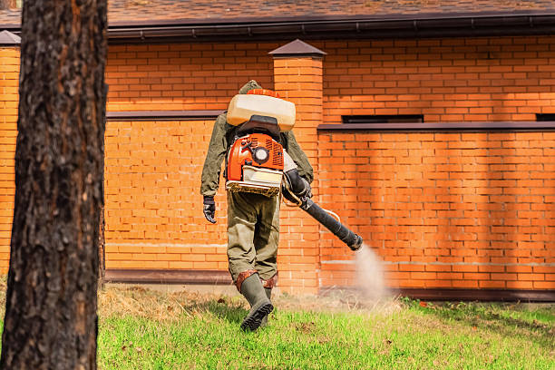 Trusted Fumigation Services service in Rock Creek, AL - Nex Pest Control